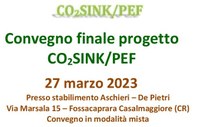 Convegno finale e open day del Progetto Goi CO2 Sink/Pef