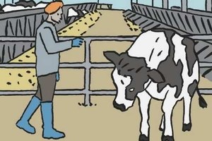 Evento dimostrativo per la gestione dell’allevamento di bovine da latte il 14 settembre