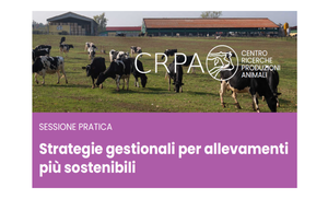 Strategie gestionali per allevamenti più sostenibili, una giornata in azienda in provincia di Reggio Emilia