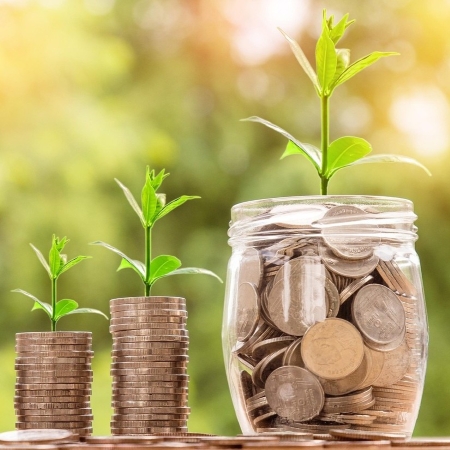 Germogli che emergono dalle monete evocano la rigenerazione del suolo, simboleggiando la connessione tra sostenibilità ambientale e valorizzazione economica (Fonte Nattanan Kanchanaprat da Pixabay)