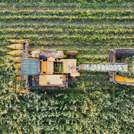 Veduta dall’alto di una mietitrebbia che raccoglie mais in un campo con file regolari di piante (Fonte Tom Fisk da Pexels