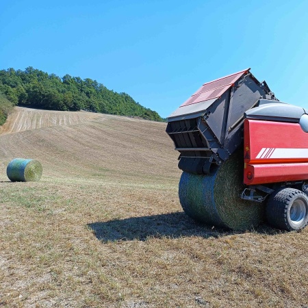 Rotoimballatrice rossa che espelle una balla cilindrica di fieno in un campo collinare appena falciato (Fonte CRPA)