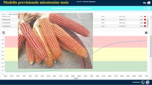 Modelli previsionali micotossine mais - Sito GO Service CRPV