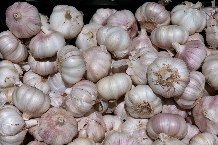 Biancoseme - Bulbi d'aglio - Foto di Peter Stanic da Pixabay