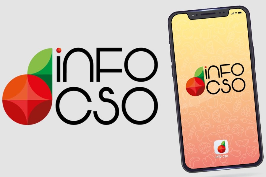 Info-CSO - Logo Progetto - Fonte sito CSO