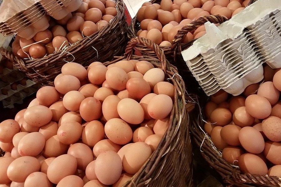 Nuova - Ceste di uova - Foto di Alexandra_Koch da Pixabay