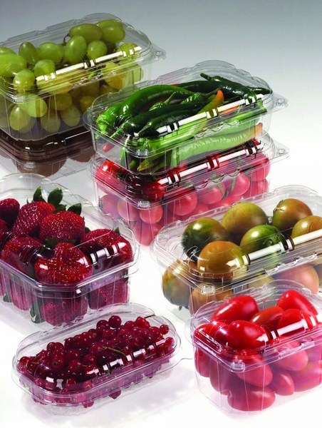 STEP - Frutta in plastica - Fonte Uffico stampa CRPV