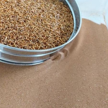 Farina ad uso alimentare ottenuta da larve di Tenebrio molitor (Fonte CESAC)