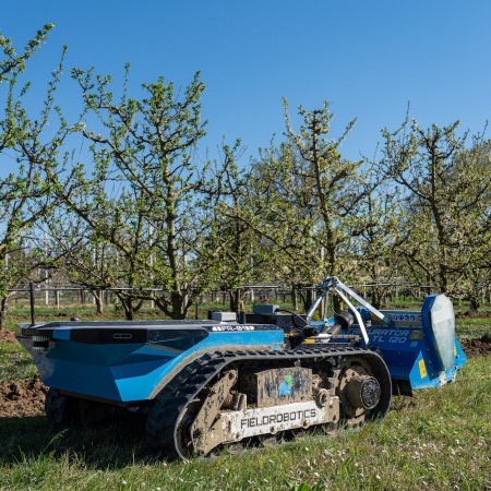 Un veicolo elettrico a guida autonoma di colore blu, dotato di cingoli e di una trinciatrice frontale, ripreso mentre avanza tra i filari di un frutteto su terreno erboso e lavorato (Fonte Università degli Studi di Bologna)