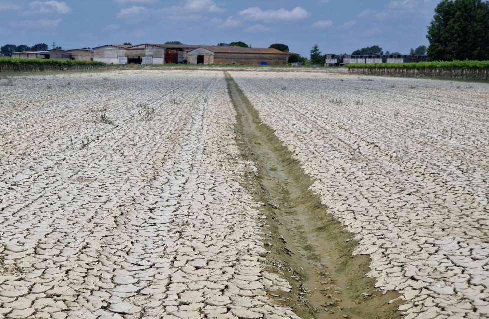 Terreno destinato a seminativi ricoperto da sedimenti alluvionali in località Alfonsine