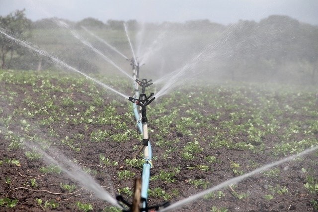 Impianto di irrigazione - Foto di feraugustodesign da Pixabay