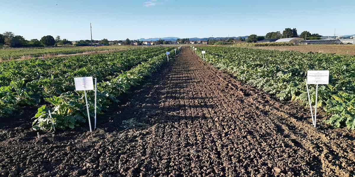 Foto Ri.Nova : campo di sperimentazione dei compost dai rifiuti urbani