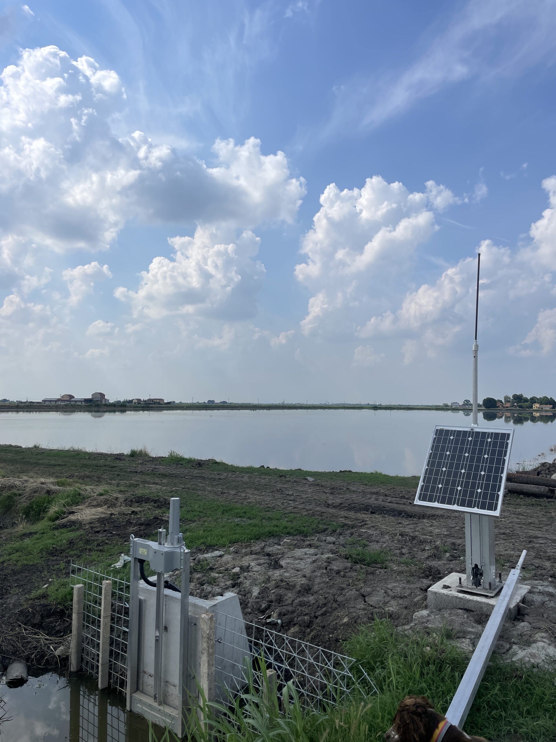 Foto: sistema di irrigazione a sommersione automatizzato nella risaia, dotato di paratoia 4.0. (Consorzio di Bonifica di Secondo Grado per il Canale Emiliano Romagnolo)