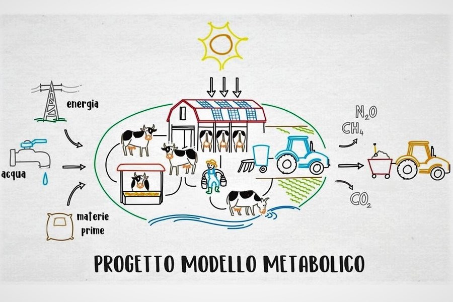 Modello Metabolico - Screenshot Video Scribing - Fonte sito GO CRPA