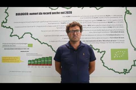 Pesto - Tecniche di difesa innovative per la filiera del basilico da industria eco sostenibile