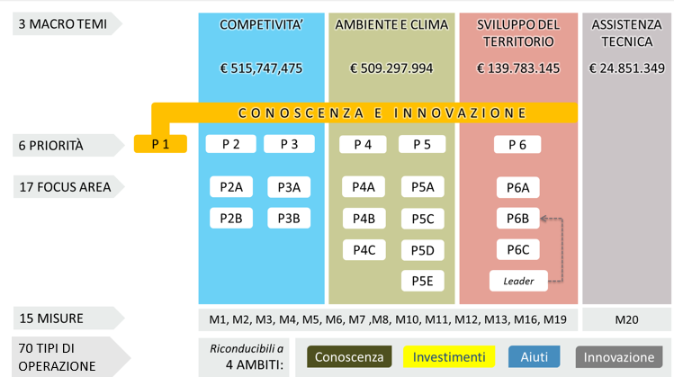 grafico struttura programmazione