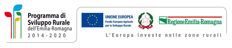 Unione dei loghi per attività di comunicazione Psr 2014-2020