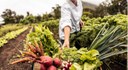 In autunno il 4° incontro del forum sulle buone pratiche nella filiera agroalimentare