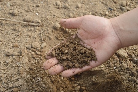 Qualità dei suoli agricoli, caratteristiche chimico-fisiche e biologiche