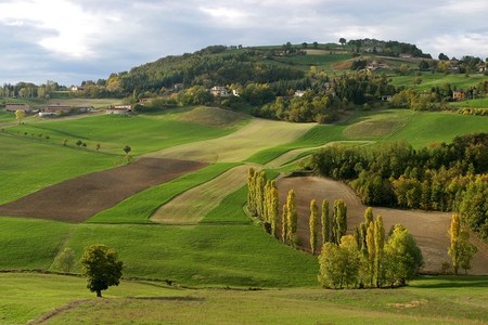 Ulteriore proroga termini presentazione domande su interventi a superficie e a capo dello sviluppo rurale