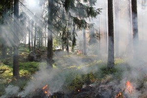 Incendi boschivi: scatta la fase di attenzione