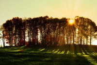 Approvati nuovi bandi per interventi agro-clima-ambientali