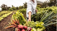 In autunno il 4° incontro del forum sulle buone pratiche nella filiera agroalimentare