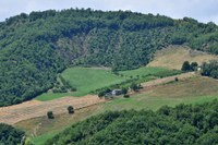 Pubblicati i bandi " Pagamenti compensativi per le zone montane " e "Pagamenti compensativi per altre zone soggette a vincoli naturali significativi "