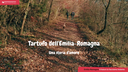 Tartufo dell'Emilia-Romagna - una storia d'amore